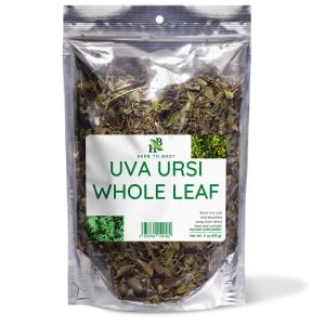 Uva Ursi Leaf Whole - 4 oz and 1 lb