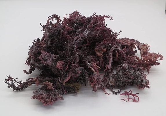 herb to body sea moss
