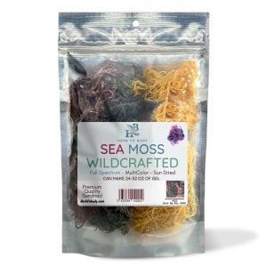 Multi-Color Irish Sea Moss | 4oz - Makes over 20oz of Gel