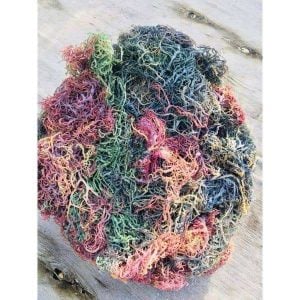 Full Spectrum Sea Moss - Premium Quality - 10lb ($25/lb)