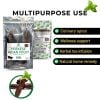Prekese Aidan Fruit | Wild-Harvested West African Superfood | 2PCS and 5PCS