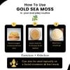 Gold Sea Moss | Wildcrafted Irish Sea Moss | 4oz and 1lb - Image 6