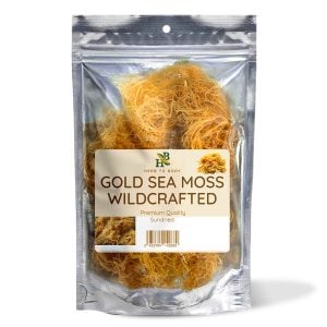 Gold Sea Moss | Wildcrafted Irish Sea Moss | 4oz and 1lb