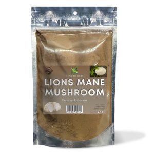 Lion's Mane Mushroom Powder - 4oz and 1Lb