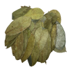 Organic Soursop Leaves - 50g - Approximately 80 leaves