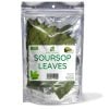 Organic Soursop Leaves - 50g - Approximately 80 leaves