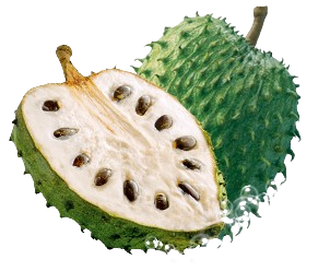 soursop bitter