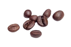 Coffea Arabica Bean