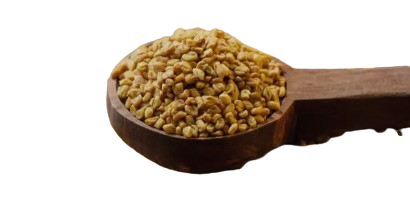 Fenugreek