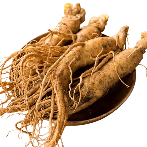Ginseng Ginseng