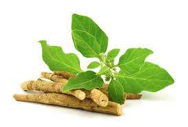 Ashwagandhaa