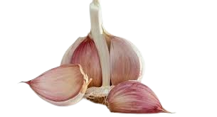 garlic