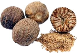 saw palmetto