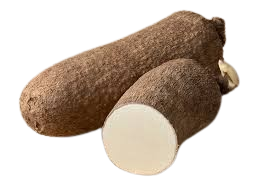 wild yam
