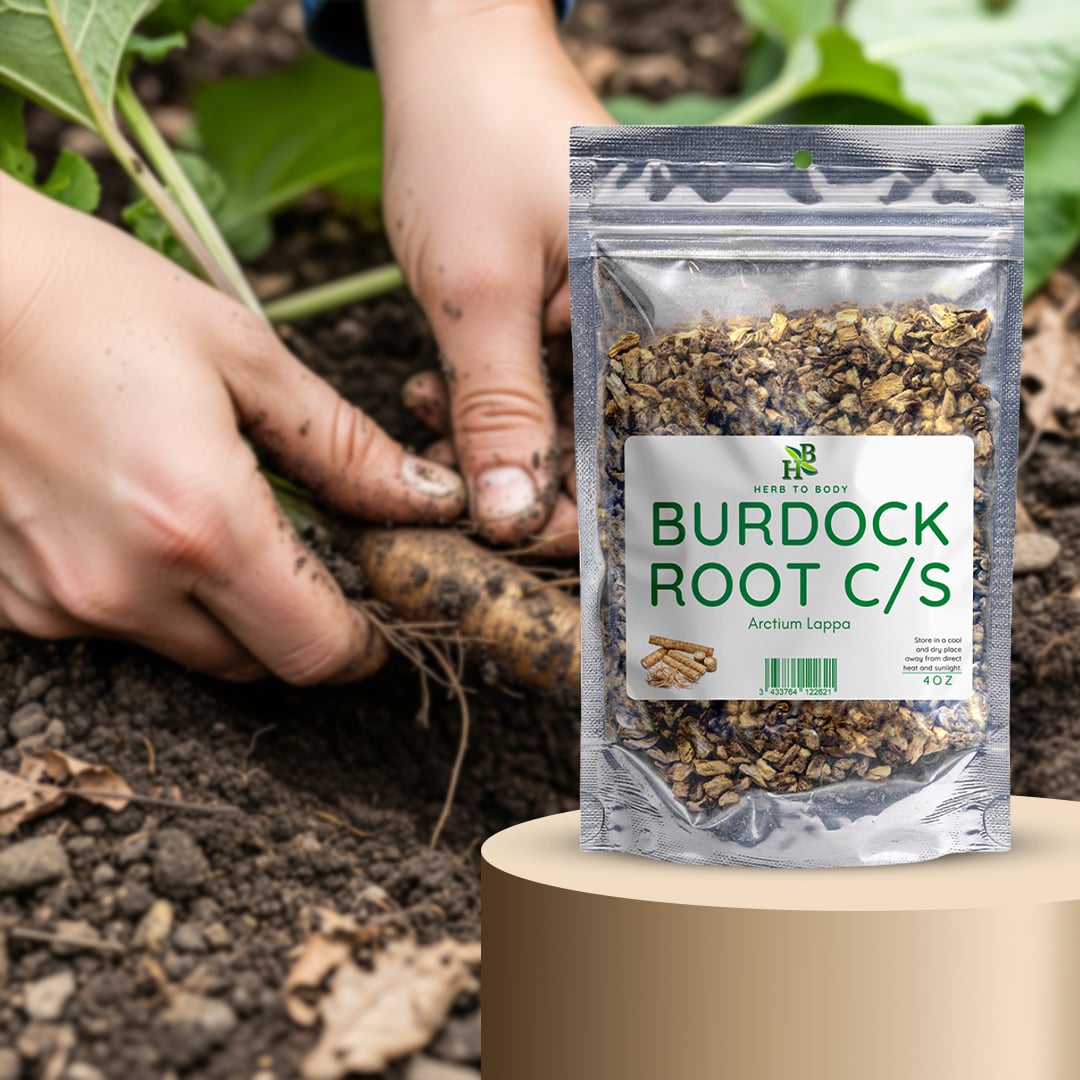 burdock root supplement