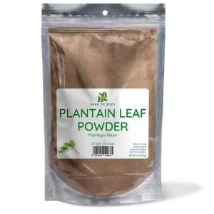 Plantain Leaf Powder - 4oz and 1lb