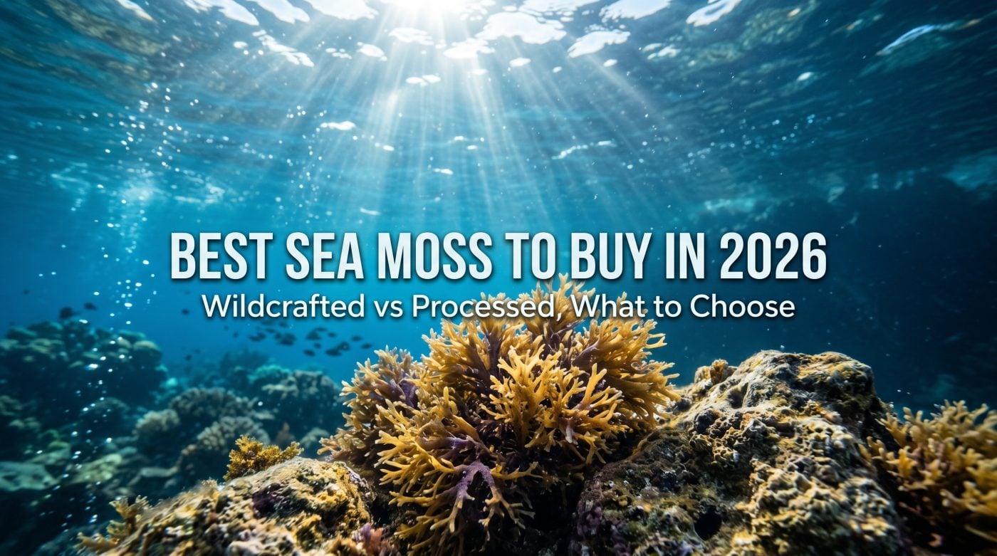 where can you buy sea moss