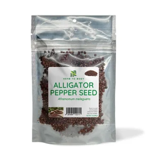 Alligator Pepper Seed